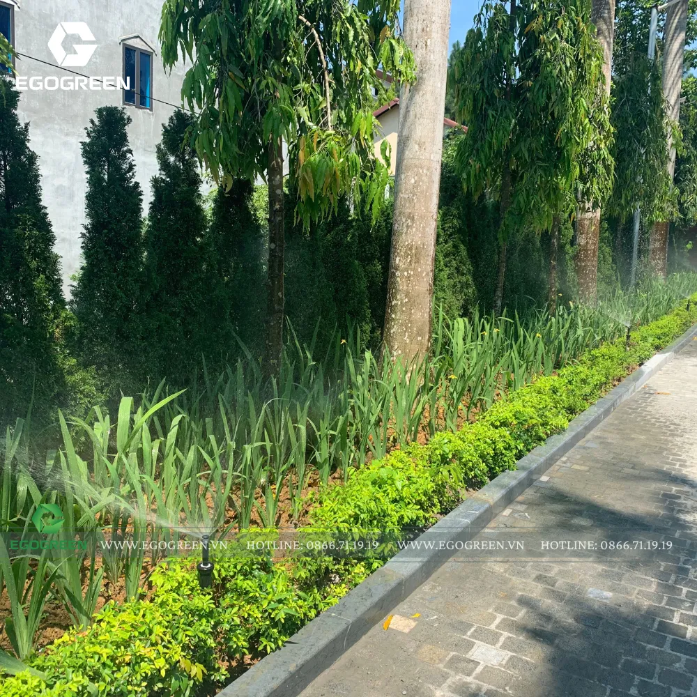 Hệ thống tưới tiêu thông minh giúp việc kể cả khi chủ vắng nhà